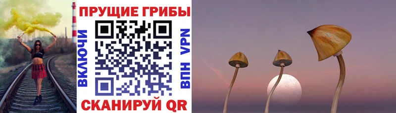 Псилоцибиновые грибы прущие грибы  Онега 