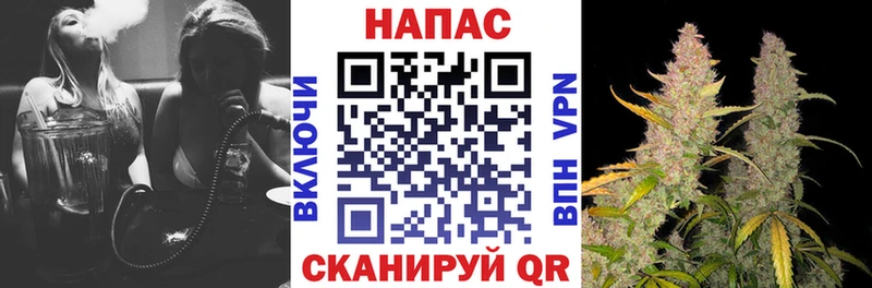 Шишки марихуана планчик Онега